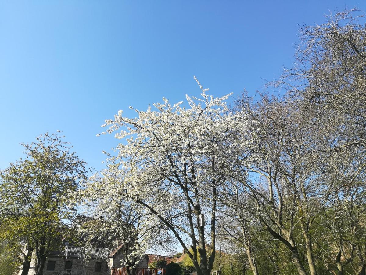 B&B De Dubbelmolen Tongeren Bagian luar foto