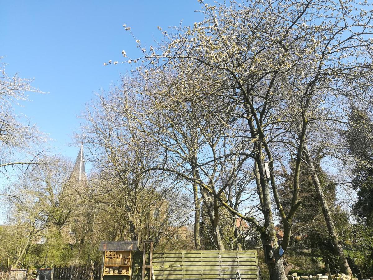 B&B De Dubbelmolen Tongeren Bagian luar foto